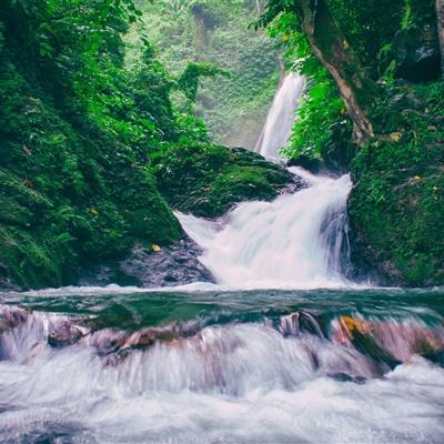 电能大亨九游版下载