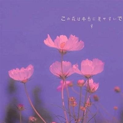 创朝手游盒子下载